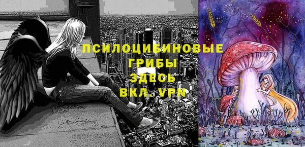 молекула духа Арсеньев