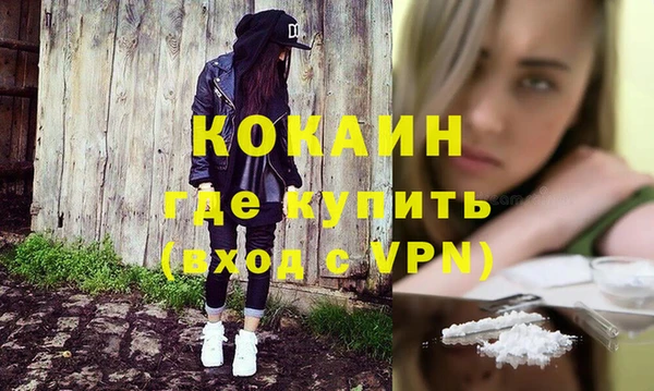 молекула духа Арсеньев