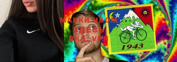 молекула духа Арсеньев