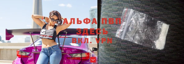 молекула духа Арсеньев