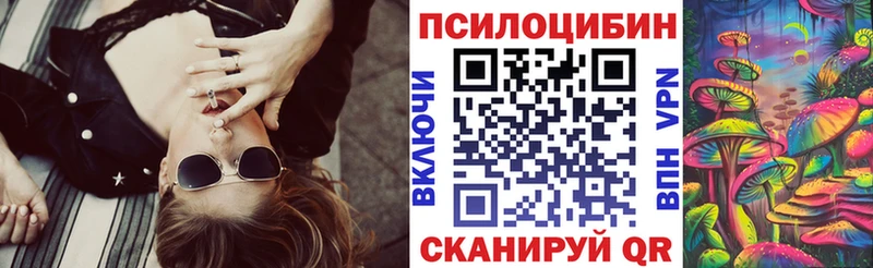 Псилоцибиновые грибы Magic Shrooms  где продают   Пучеж 